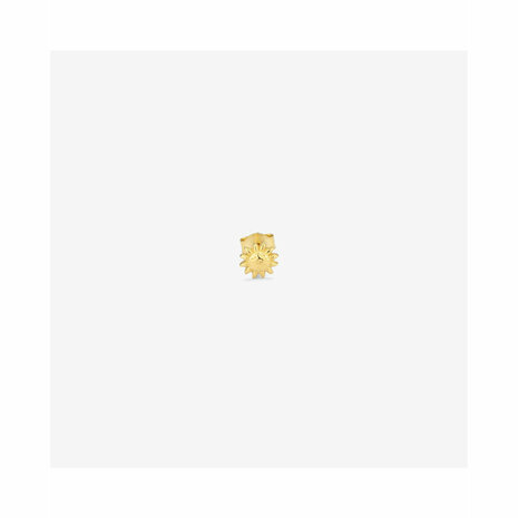 Dames oorbellen Radiant RY000155 Roestvrij staal 1 cm 2
