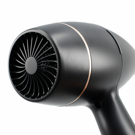 Föhn TM Electron 1800-2200 W 4