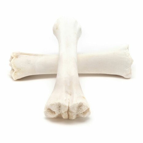 Hondensnoepjes Gloria Bot Calcium 20 Stuks 3