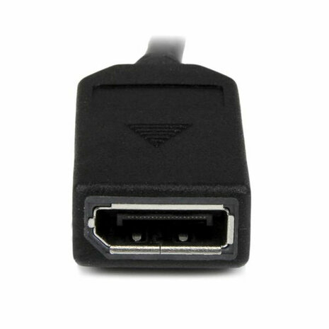 DisplayPort kabel DMS-59 Startech DMSDPDP1 4K Ultra HD 20 cm 4