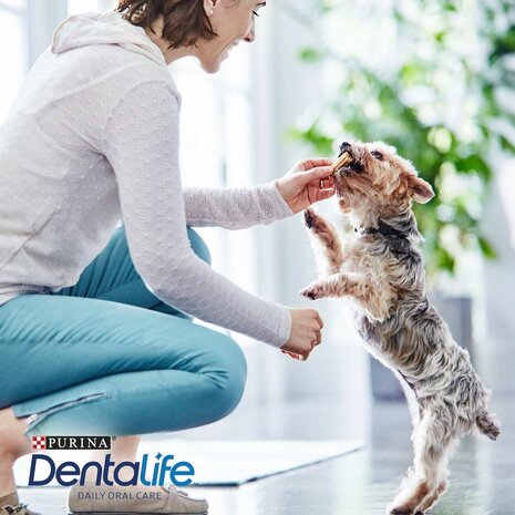 Voer Purina Volwassen Kip 69 g 2