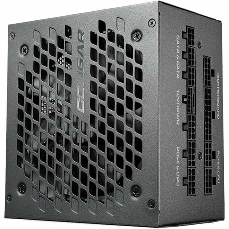 Voedingsbron Cougar GEX X2 850 W 1