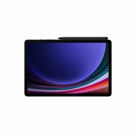 Tablet Samsung Galaxy Tab S9 SM-X710N 11" 8 GB RAM 128 GB Grijs Grafiet 6