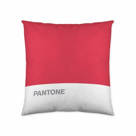 Kussenhoes Pantone Stripes (50 x 50 cm) 1