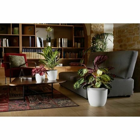 Bloempot EDA Opal Chape Wit Ø 29,5 cm 2