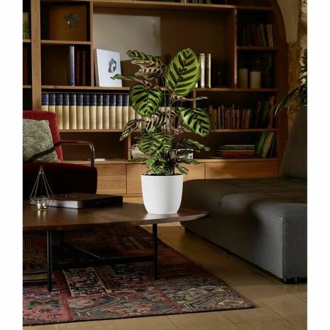 Bloempot EDA Opal Chape Wit Ø 29,5 cm 3
