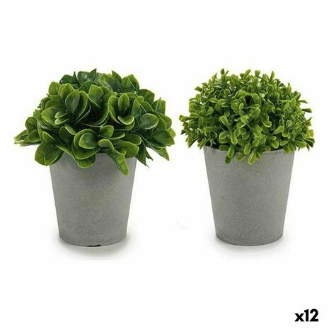 Decoratieve plant Plastic 13 x 17 x 13 cm (12 Stuks) 1