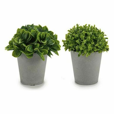 Decoratieve plant Plastic 13 x 17 x 13 cm (12 Stuks) 2