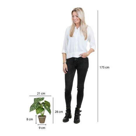 Decoratieve plant Mica Decorations Caladium Ø 21 x 28 cm Kunstmatig 5