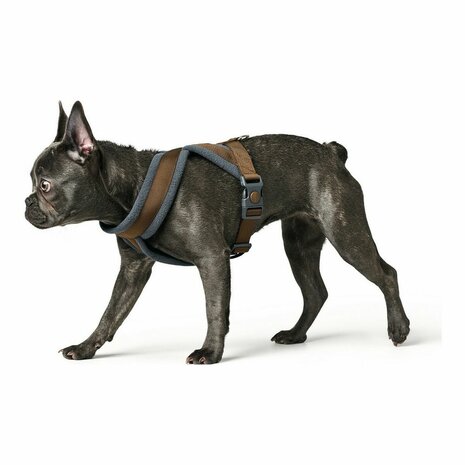Hondentuigje Hunter London Comfort 52-62 cm Bruin Maat S/M 1