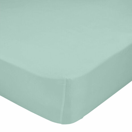 Onderlaken HappyFriday BASIC KIDS Munt 60 x 120 x 14 cm 1