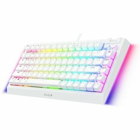 Gaming Keyboard Razer RZ03-05001700-R3M1 Wit QWERTY 6