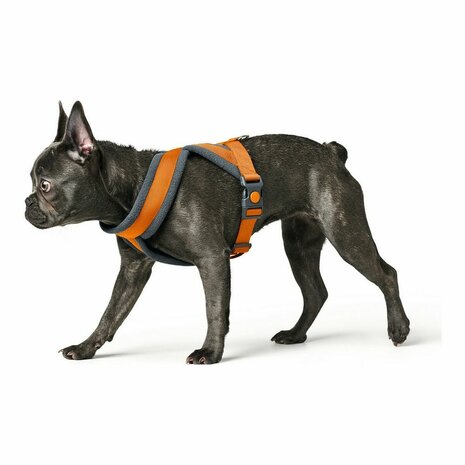 Hondentuigje Hunter London Comfort 48-56 cm Oranje Maat S/M 3