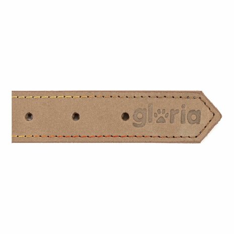 Hondenhalsband Gloria Oasis Beige (1,2 x 35 cm) 6