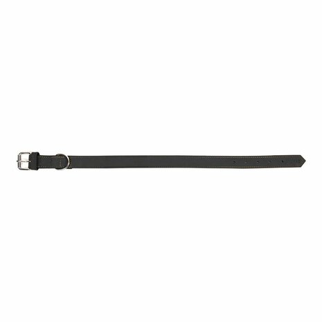 Hondenhalsband Gloria Oasis Zwart (1,2 x 35 cm) 6