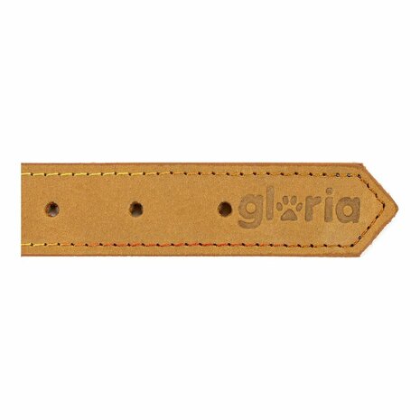 Hondenhalsband Gloria Oasis Geel (50 x 2,1 cm) 5