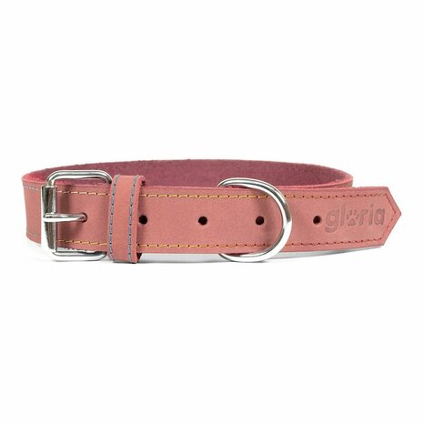 Hondenhalsband Gloria Oasis Roze (50 x 2,1 cm) 1