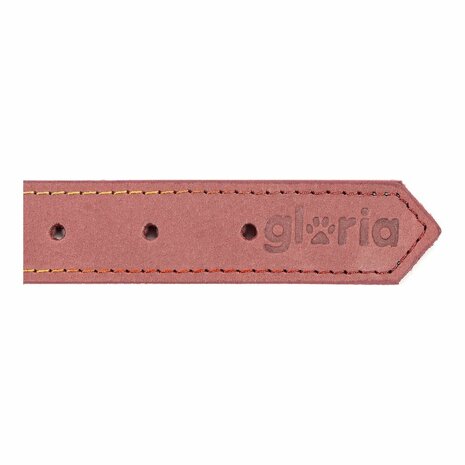 Hondenhalsband Gloria Oasis Roze (50 x 2,1 cm) 2