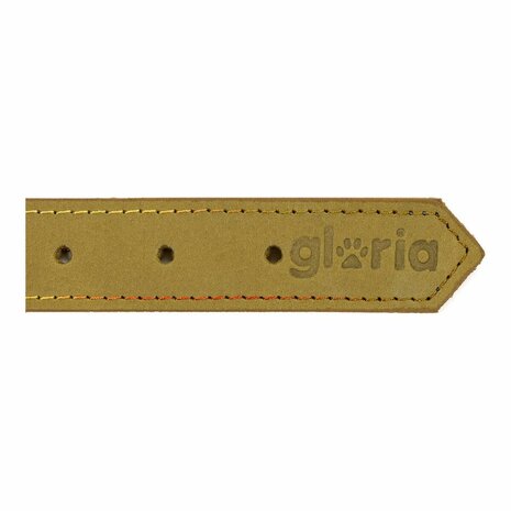 Hondenhalsband Gloria Oasis Groen (50 x 2,1 cm) 6