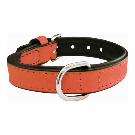 Hondenhalsband Gloria Gestoffeerd Koraal (40 cm) (40 x 2 cm) 1