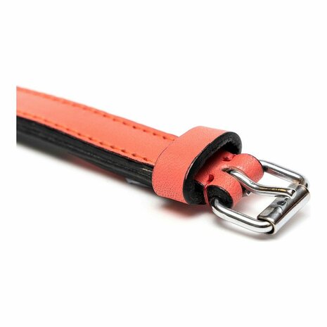 Hondenhalsband Gloria Gestoffeerd Koraal (40 cm) (40 x 2 cm) 4