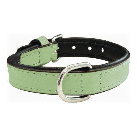 Hondenhalsband Gloria Gestoffeerd Groen (30 cm) (30 x 1,5 cm) 1