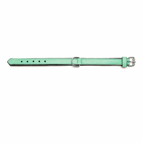 Hondenhalsband Gloria Gestoffeerd Groen (30 cm) (30 x 1,5 cm) 2