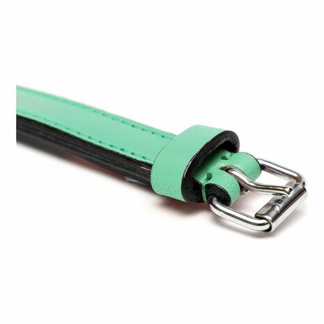 Hondenhalsband Gloria Gestoffeerd Groen (30 cm) (30 x 1,5 cm) 3