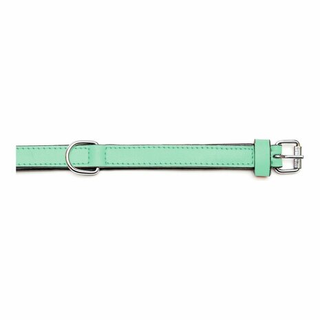 Hondenhalsband Gloria Gestoffeerd Groen (30 cm) (30 x 1,5 cm) 4