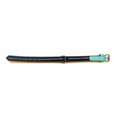 Hondenhalsband Gloria Gestoffeerd Groen (30 cm) (30 x 1,5 cm) 5