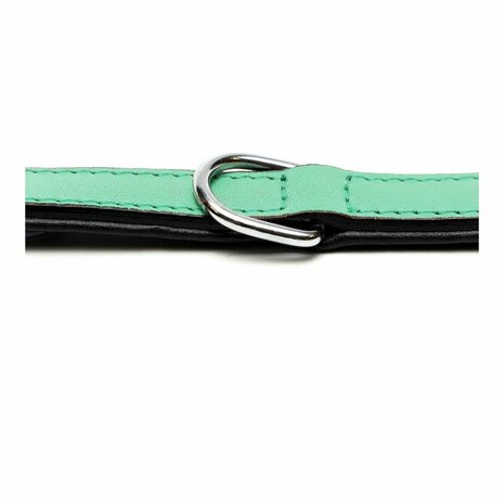Hondenhalsband Gloria Gestoffeerd Groen (30 cm) (30 x 1,5 cm) 6