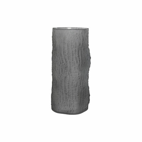 Vaas Home ESPRIT Grijs Kristal Modern 14 x 14 x 31,5 cm 1