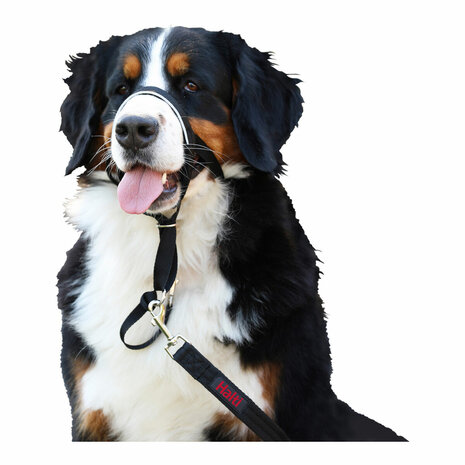 Trainingshalsbanden voor honden Company of Animals Halti Zwart Muilkorf (40-54 cm) 5