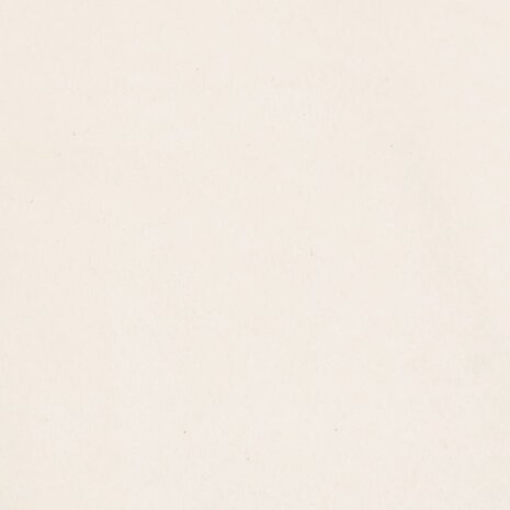 Sierkussens 2 st 40x40 cm microvezelstof beige 6