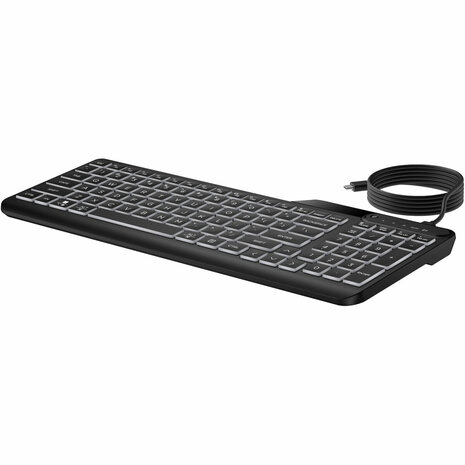 Toetsenbord en muis HP 405 Zwart Qwerty US 6