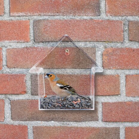 Esschert Design Voederhuisje voor het raam acryl 15x10x15,3 cm FB370 4