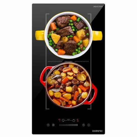 Inductiekookplaat Oceanic OCEATI2Z2BF 18 cm 3600 W 5