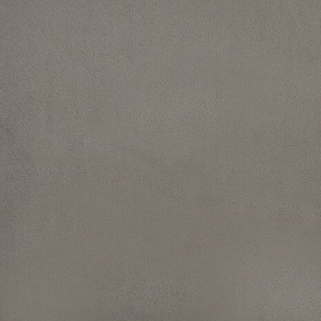 Bankje 100x35x41 cm fluweel lichtgrijs 6