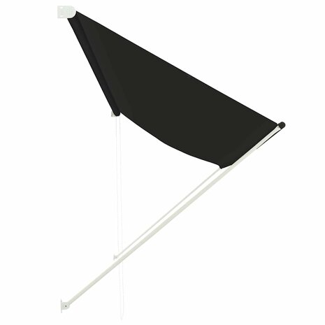Luifel uittrekbaar 350x150 cm antraciet 3