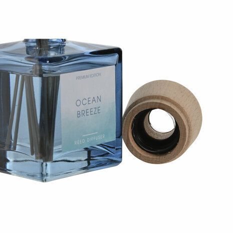 Luchtverfrisser Home ESPRIT Mediterrane 100 ml 3
