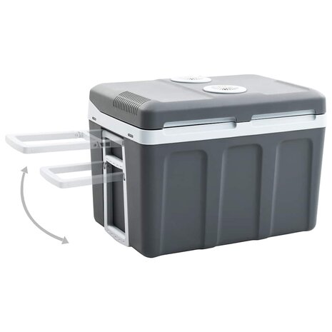 Koelbox thermo-elektrisch draagbaar 12 V 230 V E 40 L 3