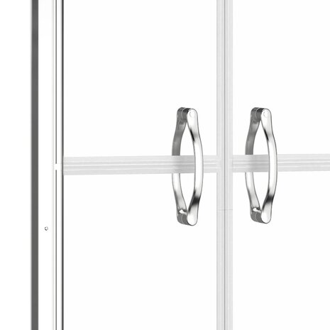 Douchedeur 71x190 cm ESG transparant 4