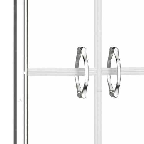 Douchedeur 81x190 cm ESG transparant 4
