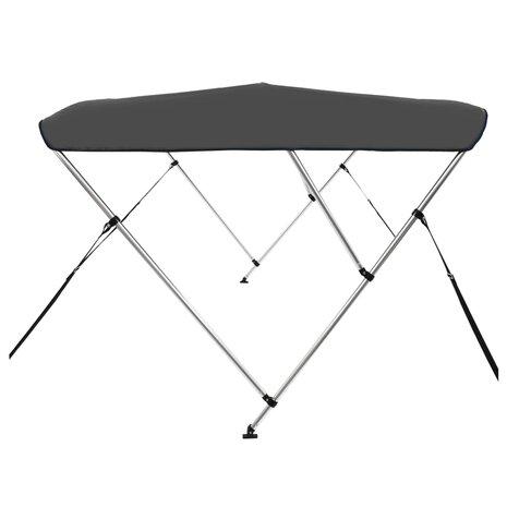 Biminitop 3-boogs 183x160x137 cm antracietkleurig 4