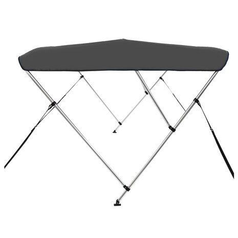 Biminitop 3-boogs 183x196x137 cm antracietkleurig 4