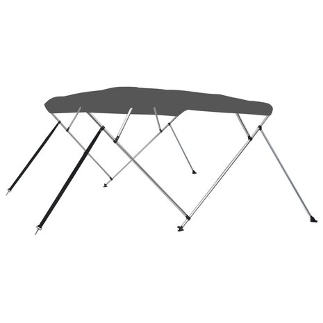 Biminitop 4-boogs 243x196x137 cm antracietkleurig 1