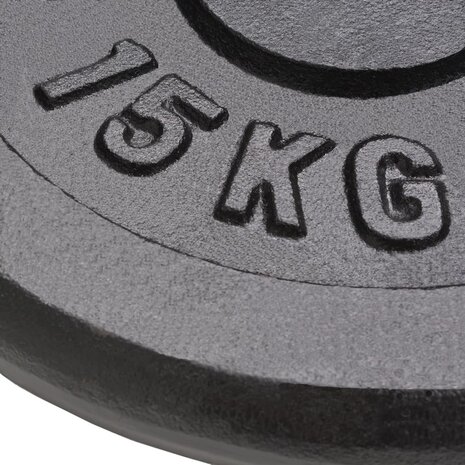 Halterschijven 2 st 2x15 kg gietijzer 3
