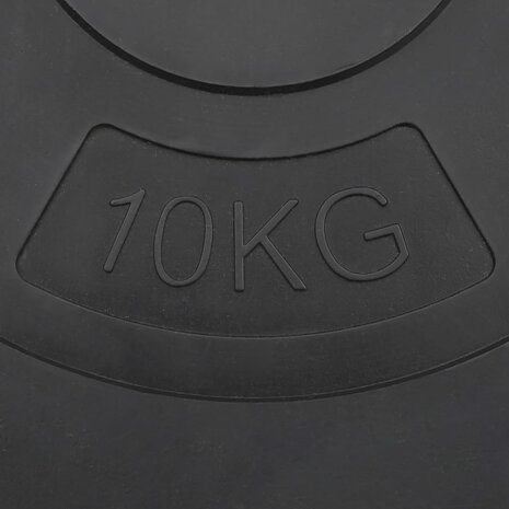 Halterschijven 4 st 30 kg beton 8