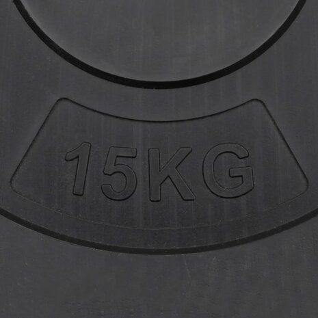 Halterschijven 2 stuks 30 kg beton 5