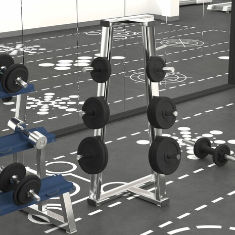 Halterschijven 6 st 30 kg gietijzer 1